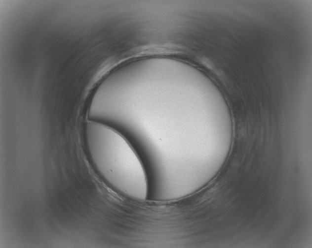 X0000063481459200601201012