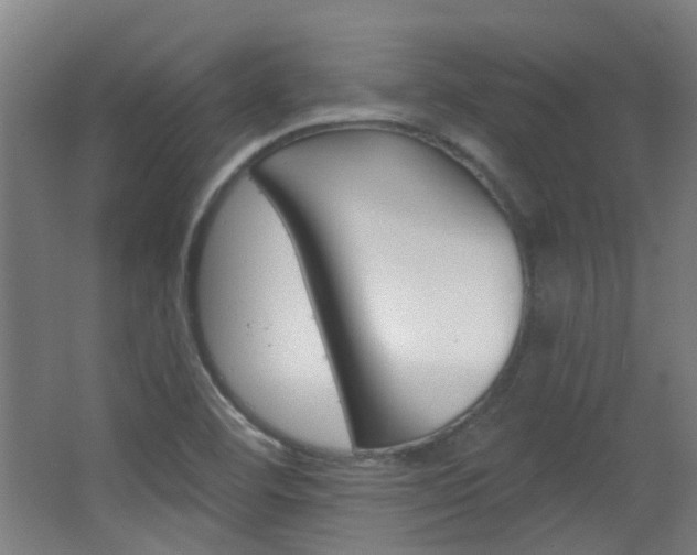 X0000063481460200601201012