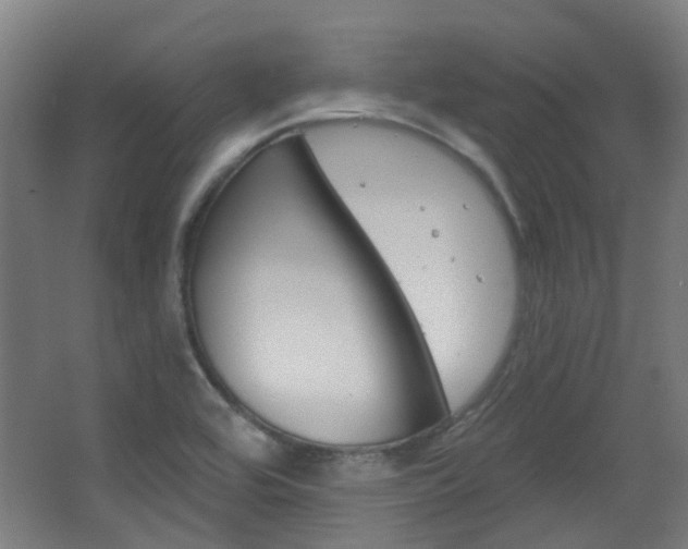 X0000063481464200601201012