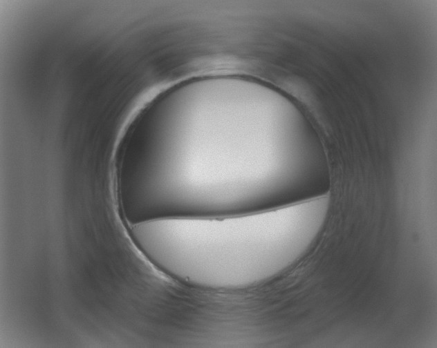 X0000063481472200601201012