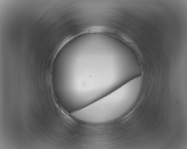 X0000063481473200601201012