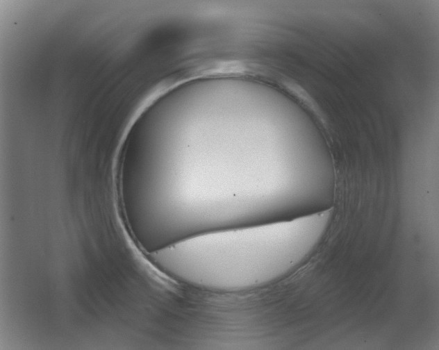 X0000063481475200601201012