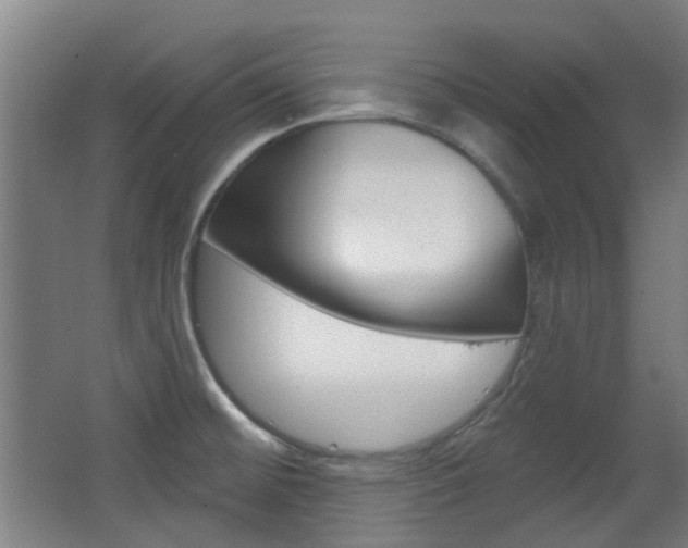 X0000063481476200601201012