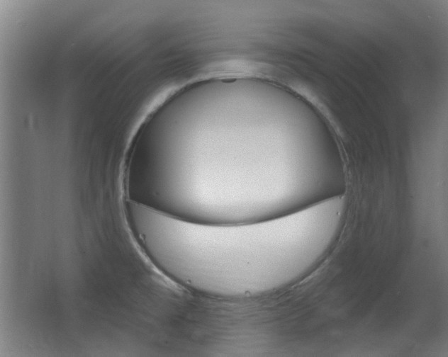 X0000063481477200601201012