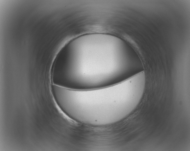 X0000063481479200601201012
