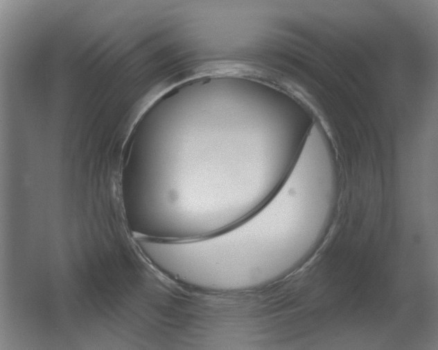 X0000063481481200601201012