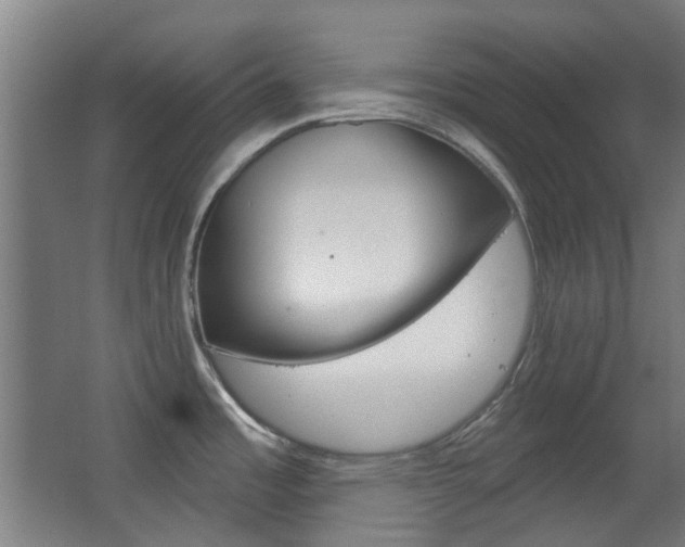 X0000063481485200601201012
