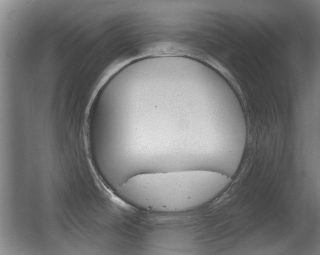 X0000063481486200601201012