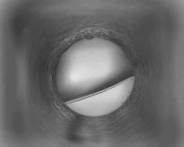 X0000063481489200601201011