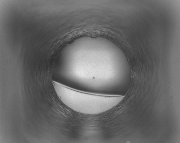 X0000063481490200601201011