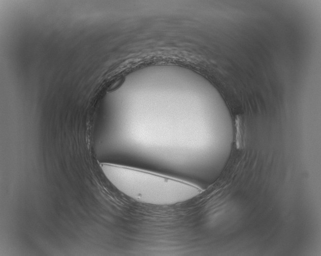X0000063481491200601201011