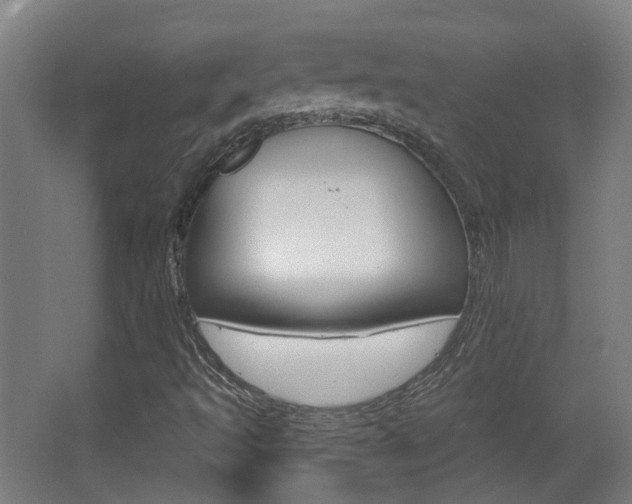 X0000063481493200601201011