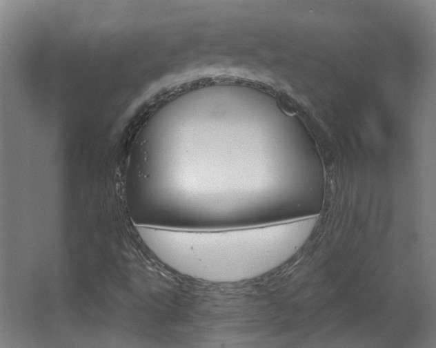 X0000063481495200601201011