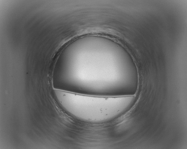 X0000063481497200601201011