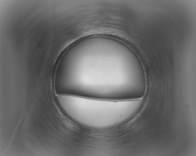 X0000063481505200601201011