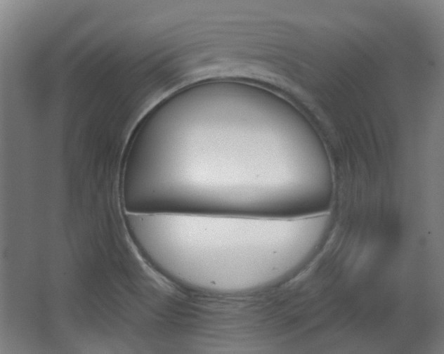 X0000063481513200601201011