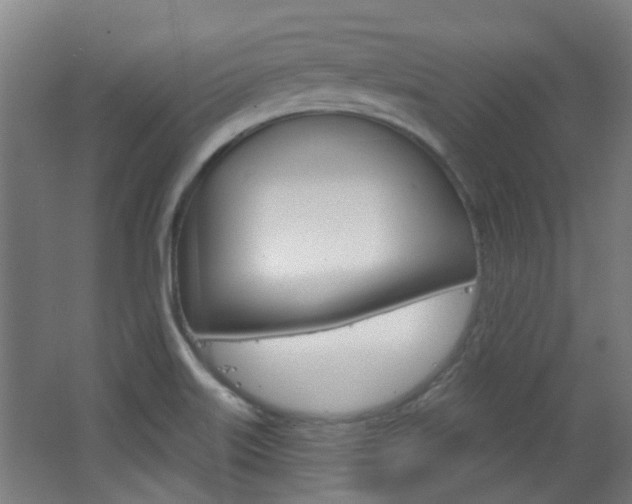 X0000063481515200601201011