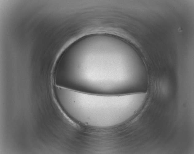 X0000063481517200601201011
