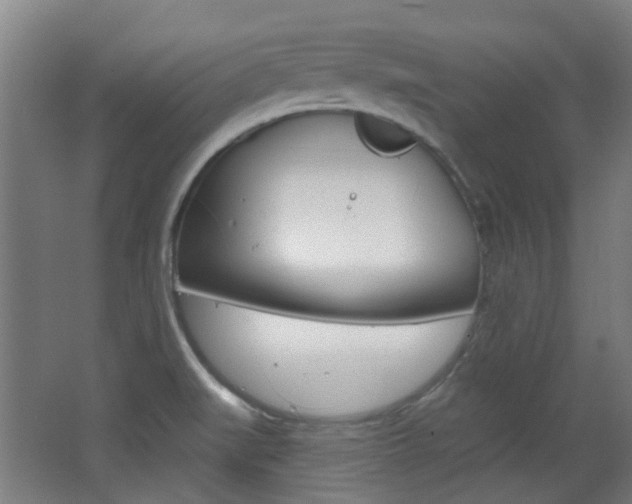 X0000063481519200601201011