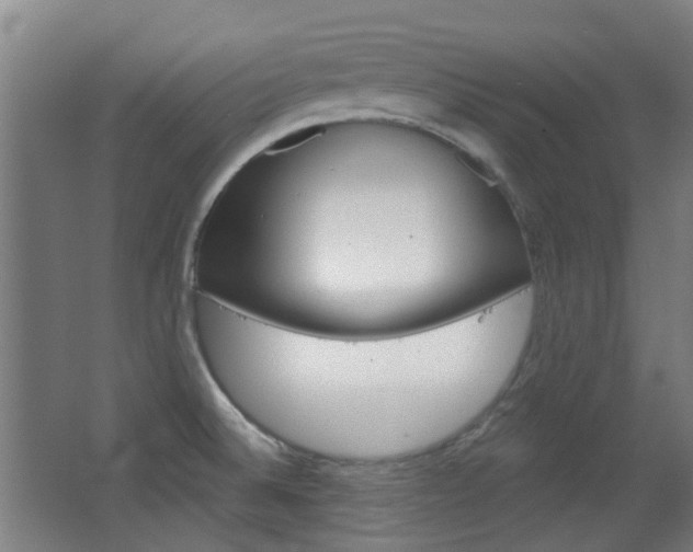 X0000063481524200601201011