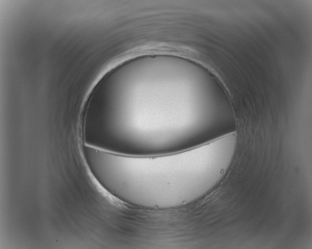 X0000063481531200601201012