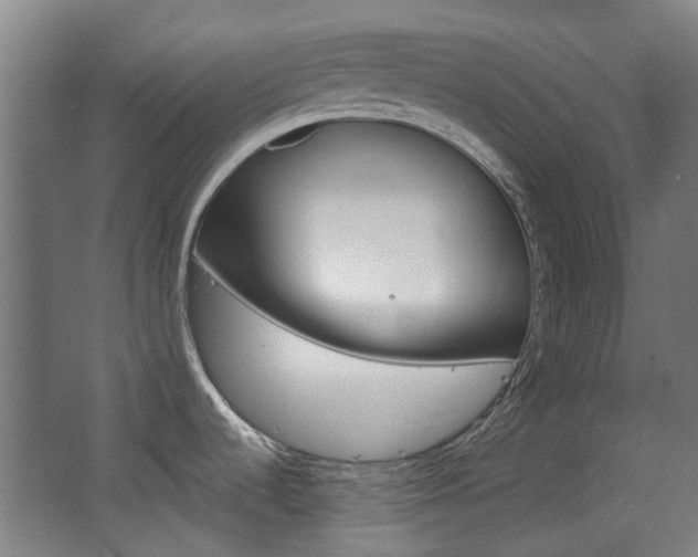 X0000063481536200601201012