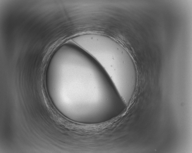 X0000063480001200601201255