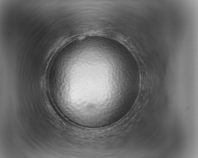 X0000063480002200601201255