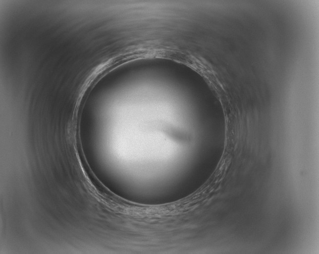 X0000063480003200601201255