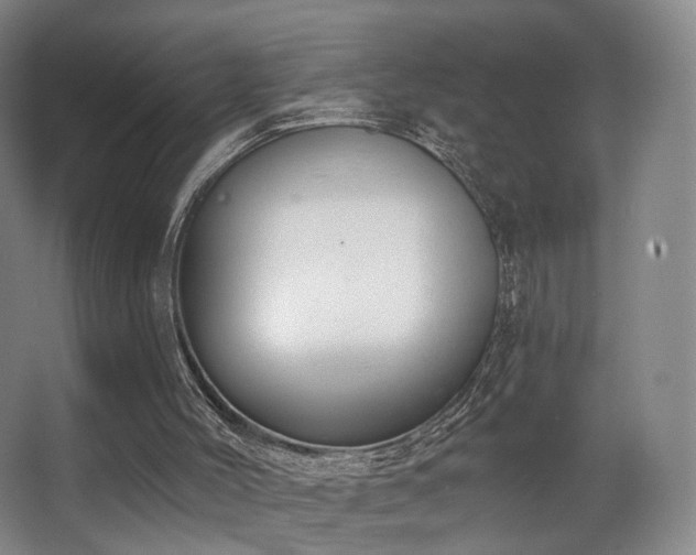 X0000063480004200601201255