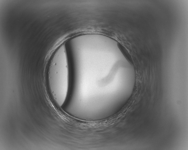 X0000063480005200601201255