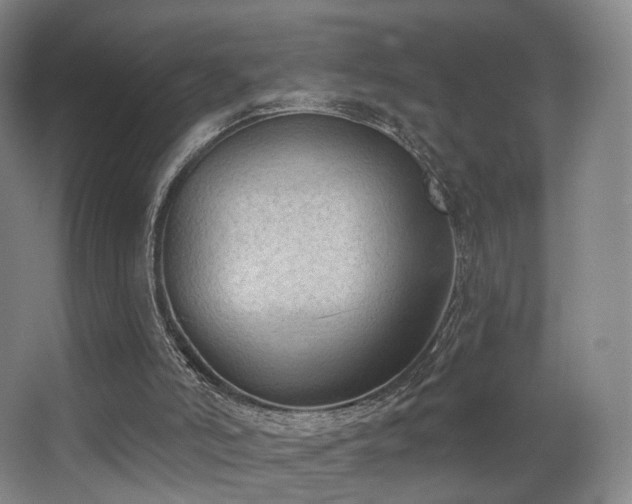 X0000063480006200601201255