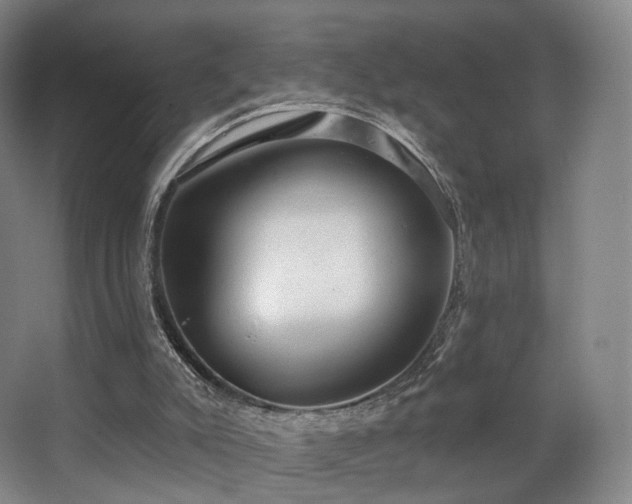 X0000063480007200601201255