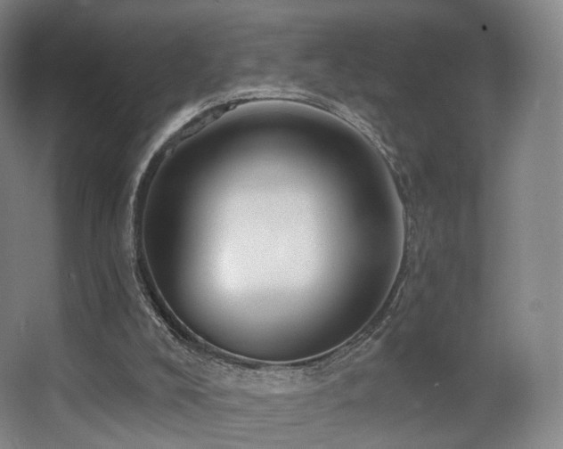 X0000063480008200601201255