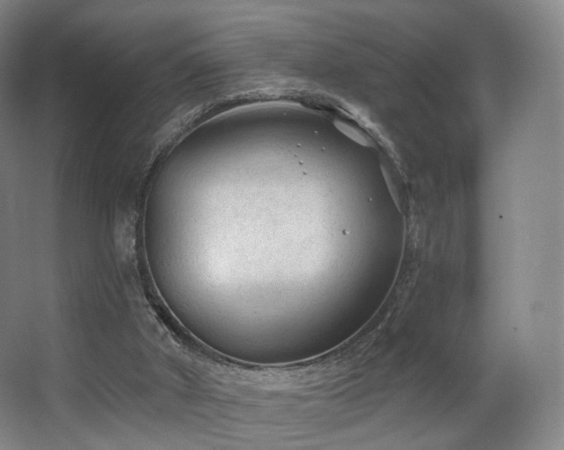 X0000063480010200601201255