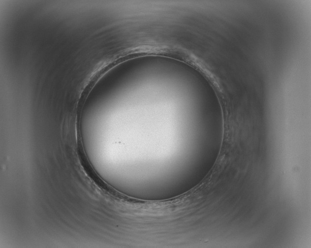 X0000063480011200601201255