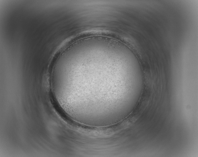 X0000063480016200601201255