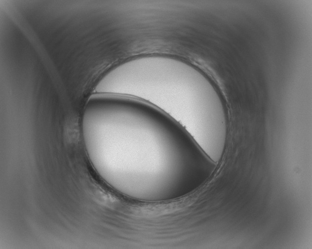 X0000063480017200601201255