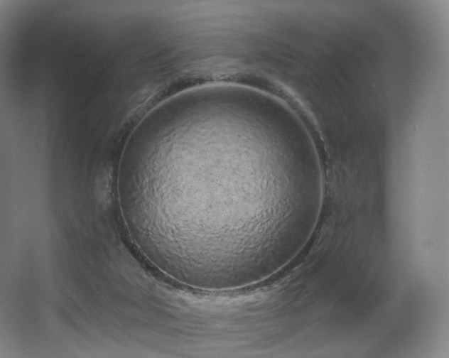 X0000063480018200601201255