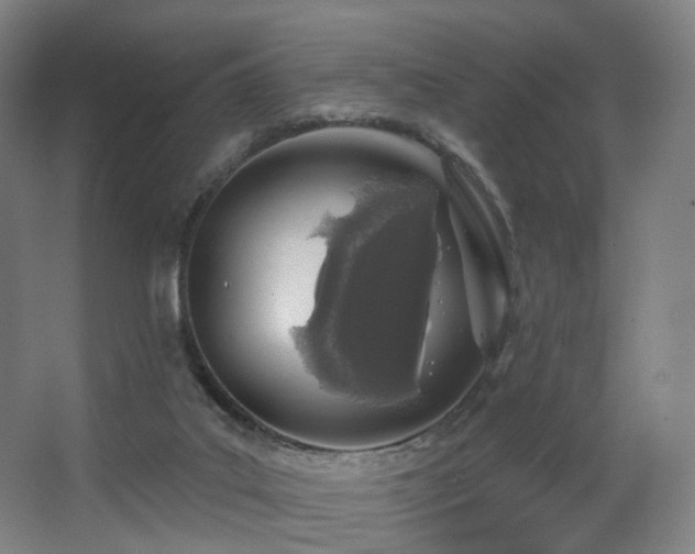 X0000063480019200601201255