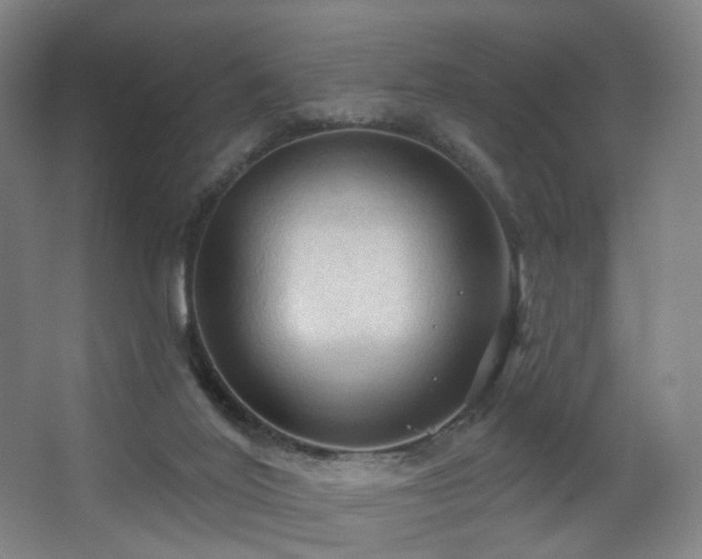 X0000063480020200601201255