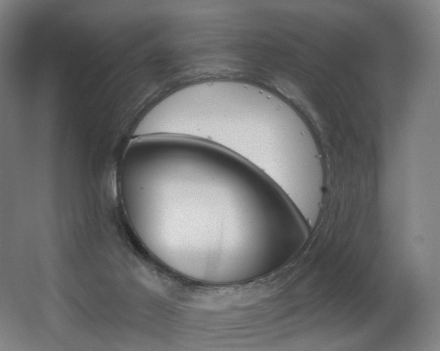 X0000063480021200601201255