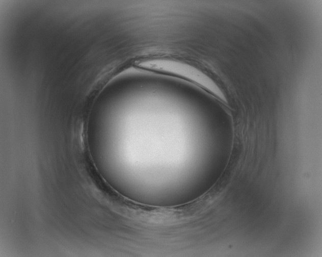 X0000063480024200601201255