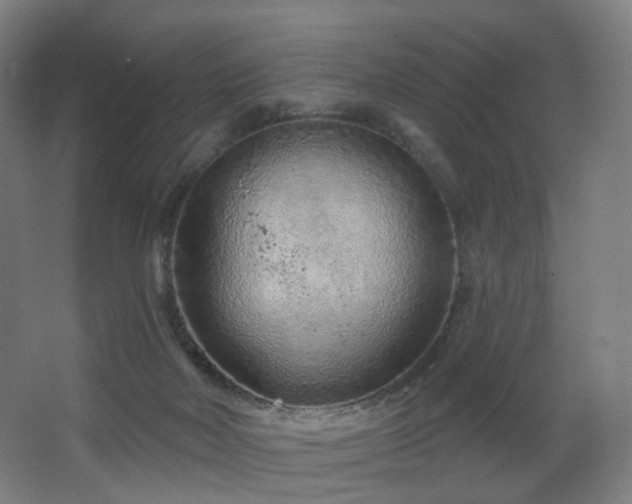 X0000063480026200601201255