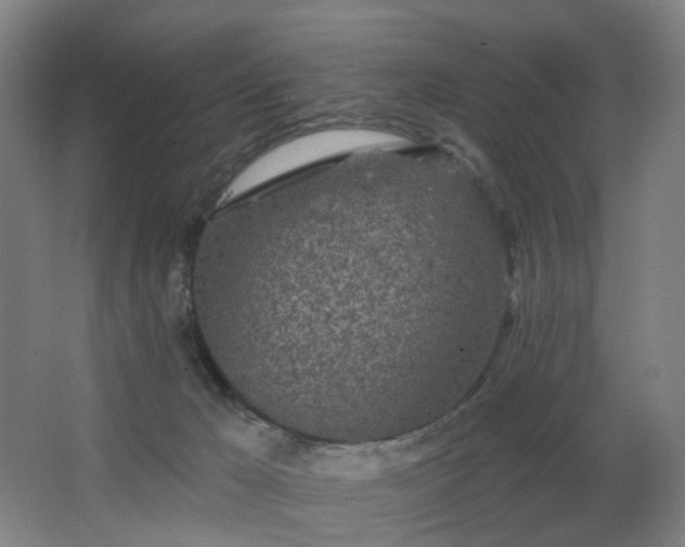 X0000063480029200601201255