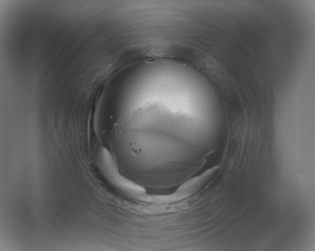 X0000063480031200601201255