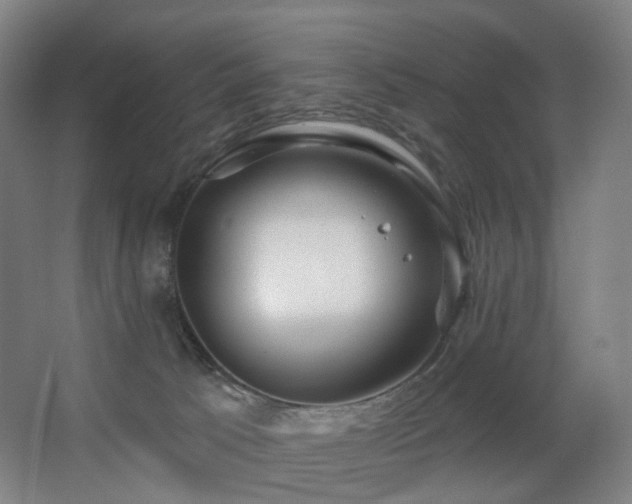 X0000063480033200601201255