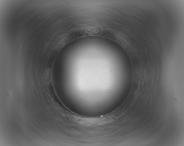 X0000063480034200601201255