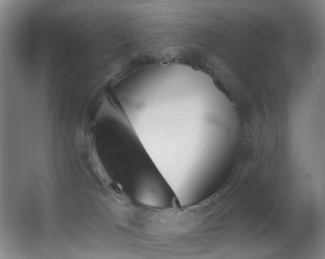 X0000063480037200601201255