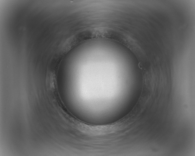 X0000063480038200601201255